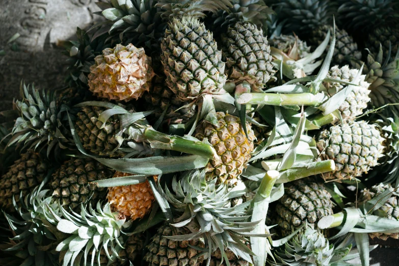 several green and yellow fruits sitting next to each other