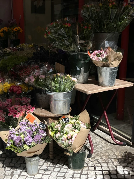 an assortment of potted flowers with plants for sale