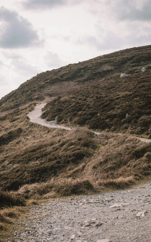 a road going up a hill to an area with grass and shrubs