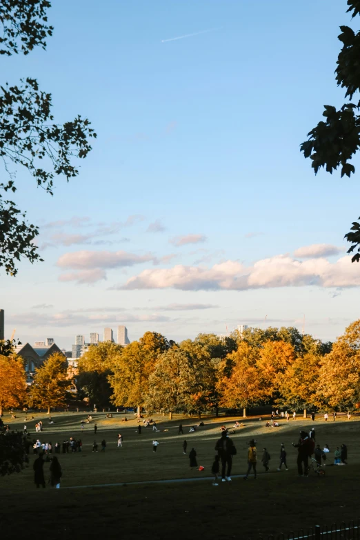 several people in an open field with trees and buildings