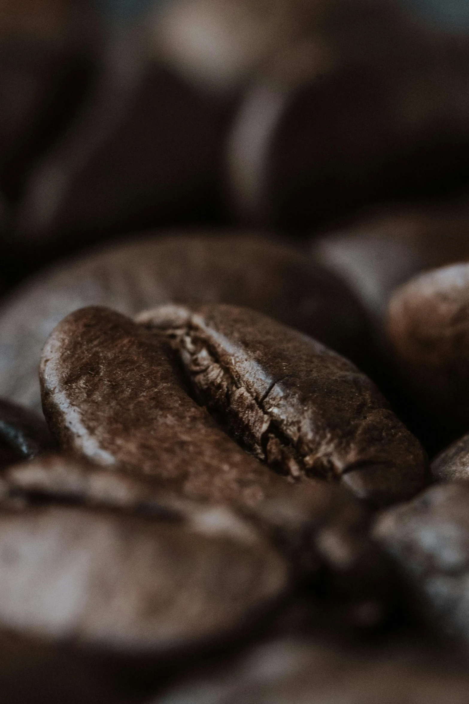 coffee beans closeup macro and a few drops