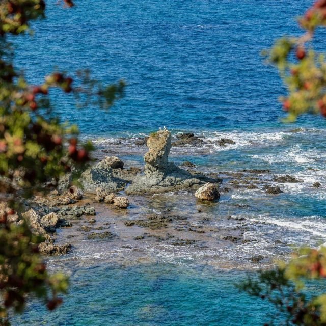 an animal on a rock in the middle of a body of water