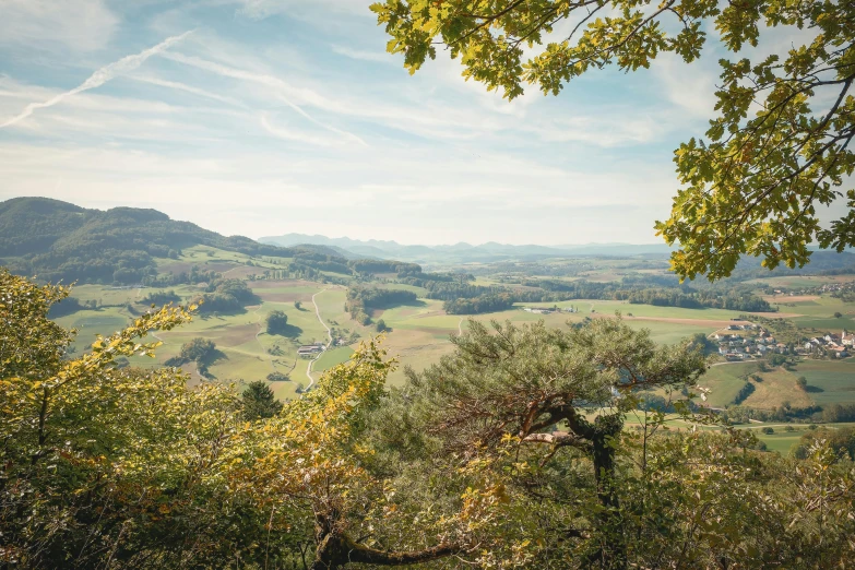 the trees are at their peak in the mountain side