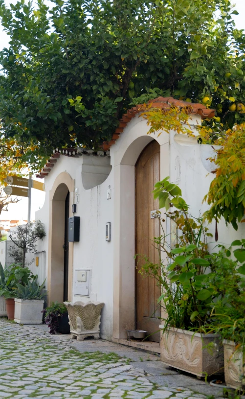 an alley way is covered in greenery and pots