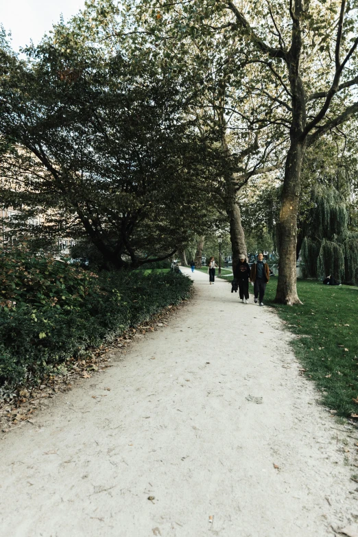 people walk down the path in the park