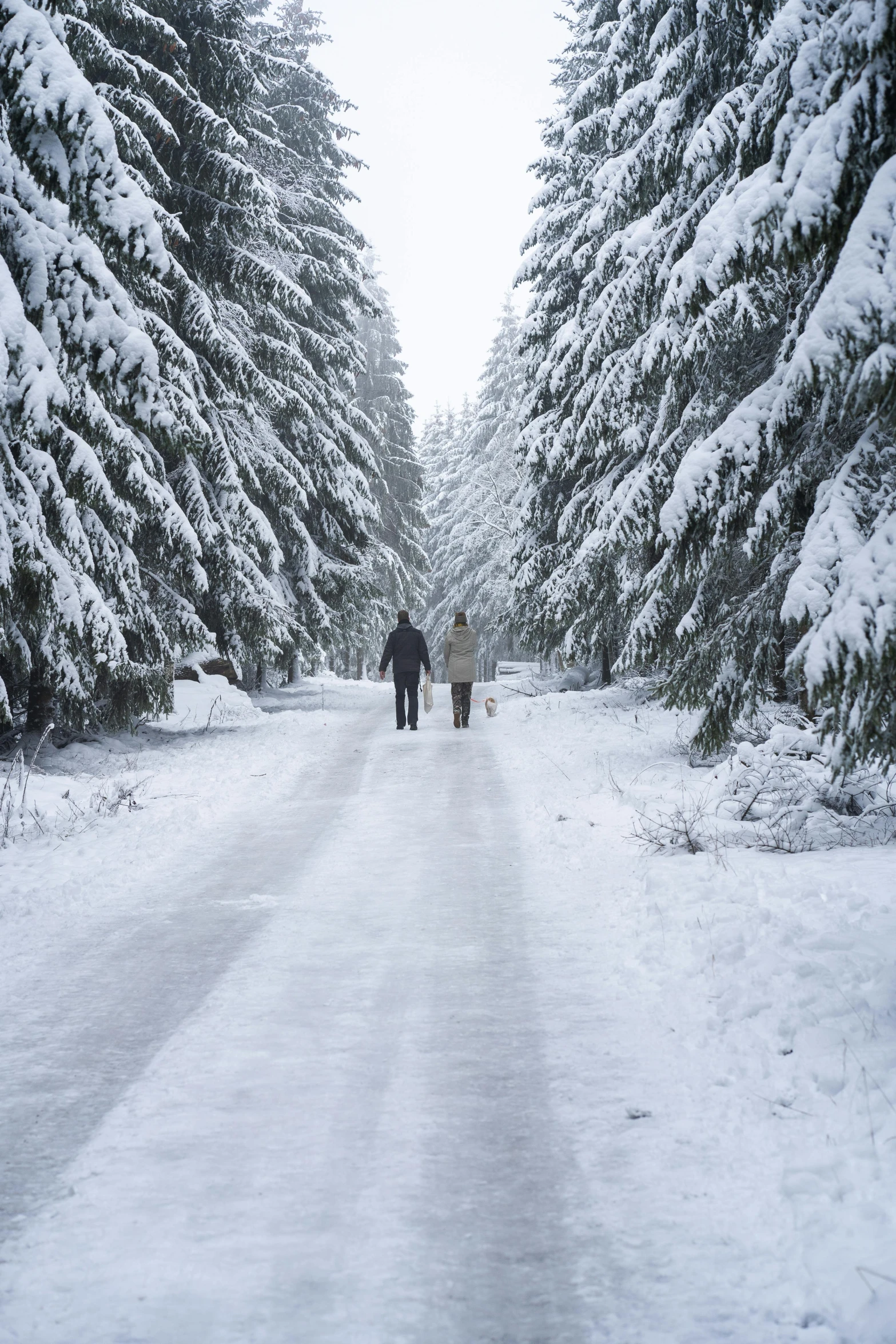 two people walking down the road covered in snow