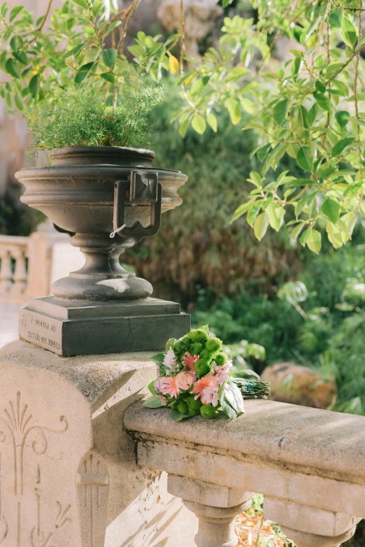 a large concrete urn with plants growing out of it