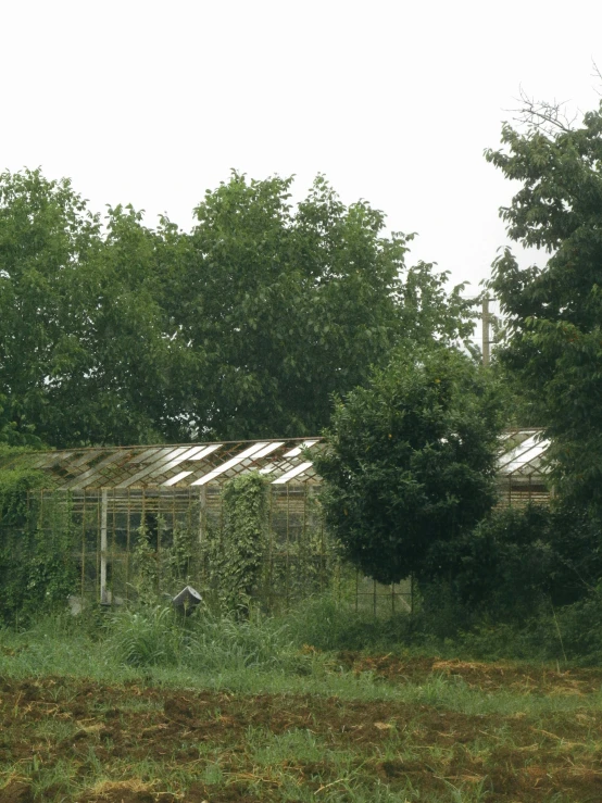 a dilapidated building surrounded by trees and bushes