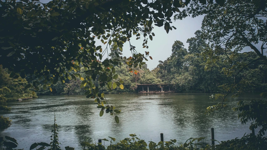 a lake that is surrounded by some trees