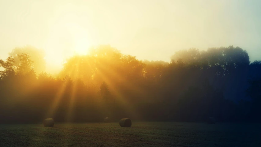 three hay bales in the middle of a grassy field