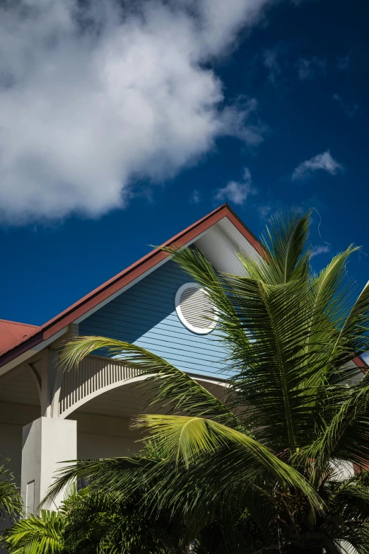 a small palm tree is near a church