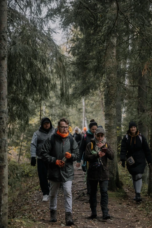 a group of people in the woods looking up at trees