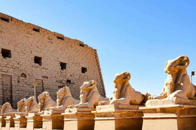 a line of statue of lions in front of a wall