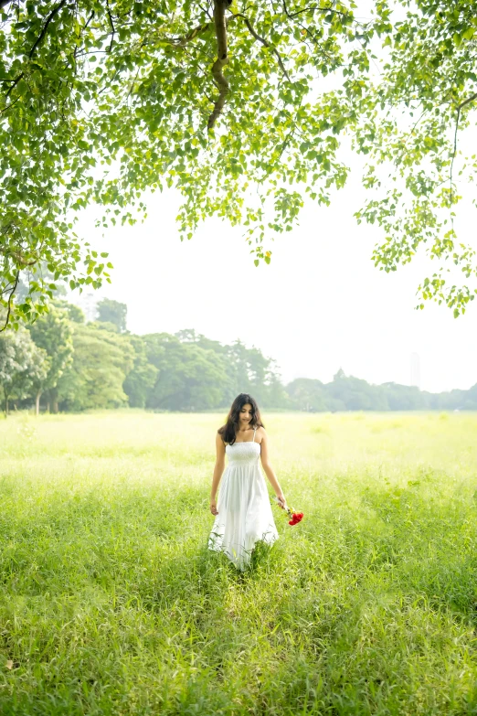 a woman is in the grass with a red rose