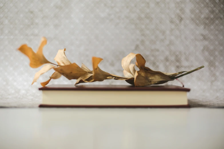 two flowers sitting on top of a book