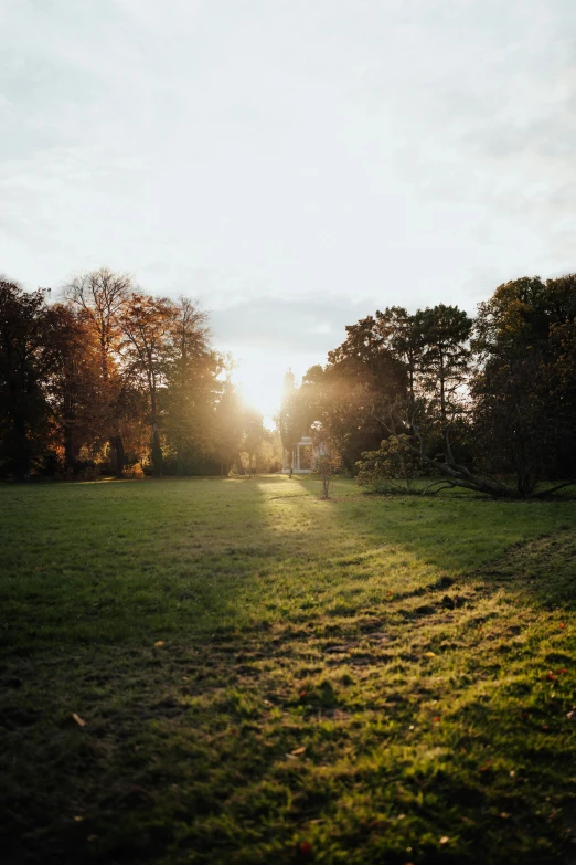 a bench is in the middle of a grassy field