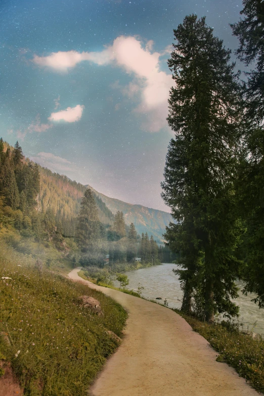 a path on the side of a lake surrounded by trees