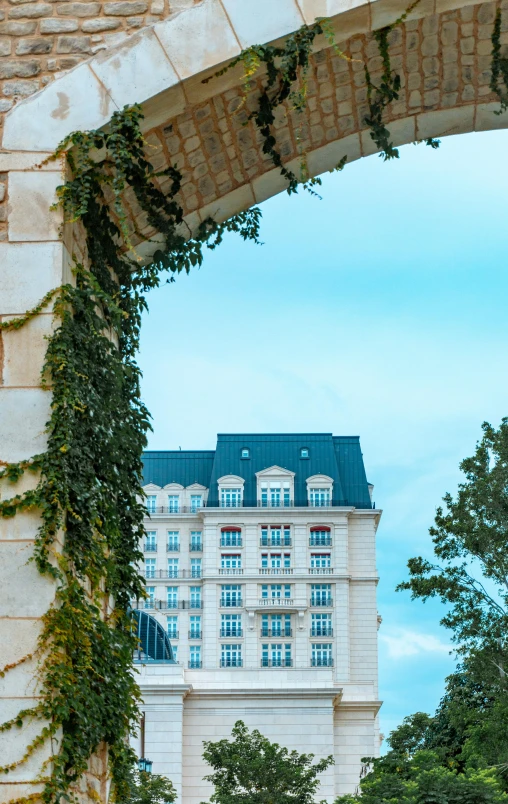 the view of a building through an arch covered in vines