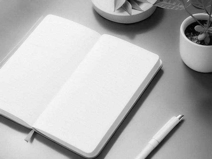 a blank notebook is lying open next to a plant and pen