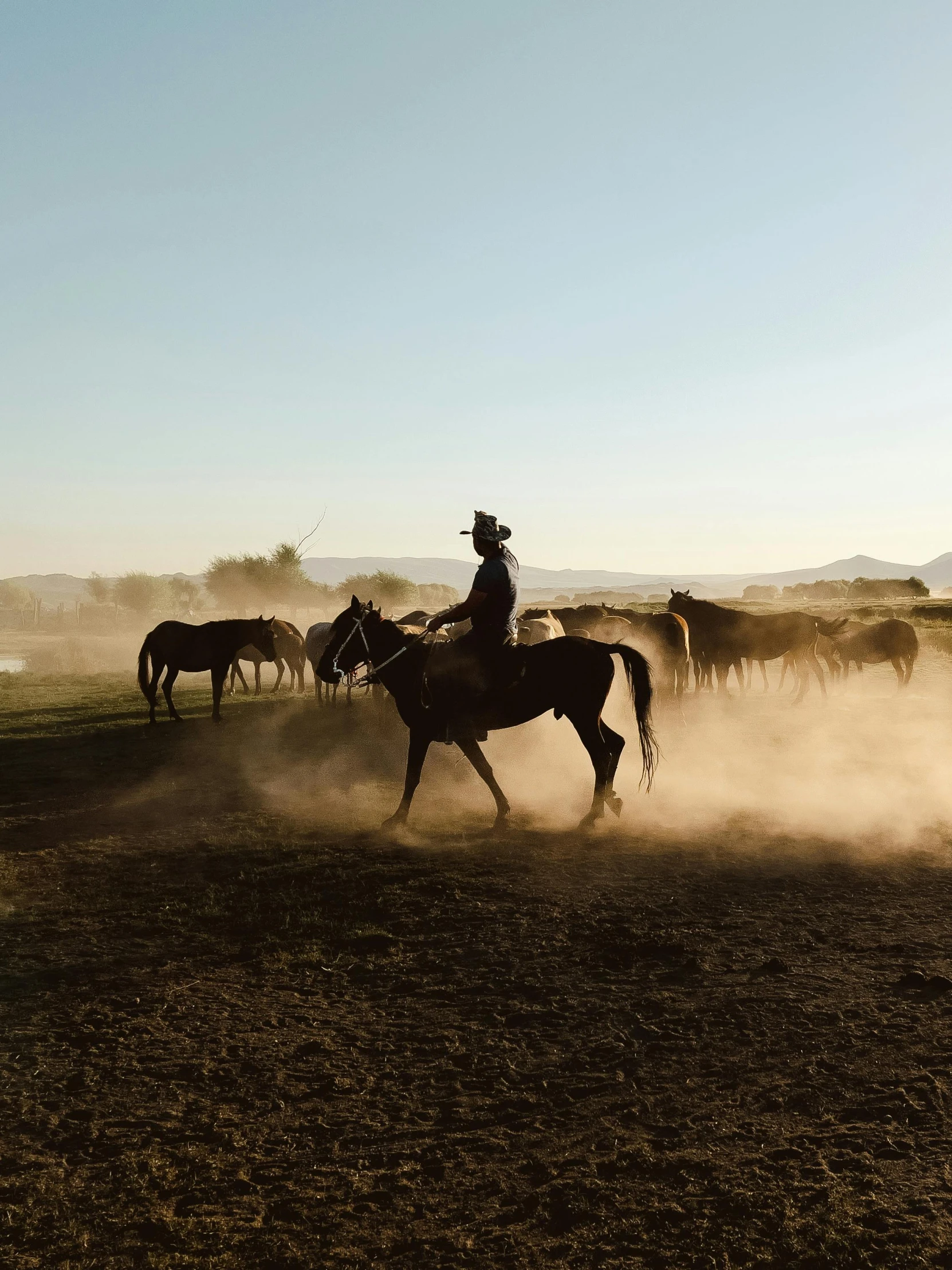 a cowboy on horseback riding in a corral