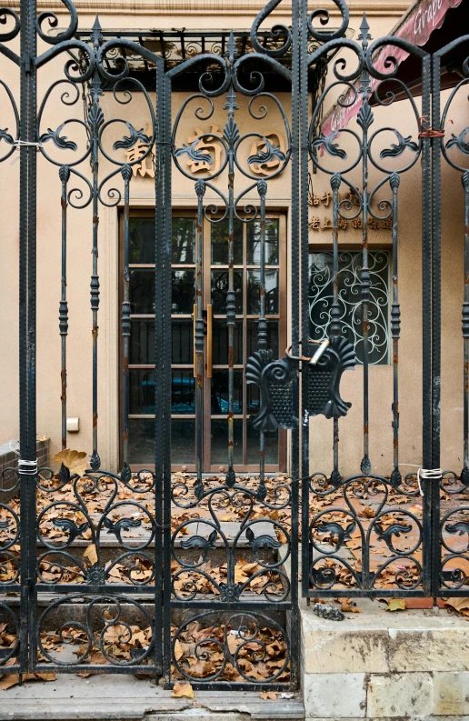 an iron gate and a large building with autumn leaves on the ground