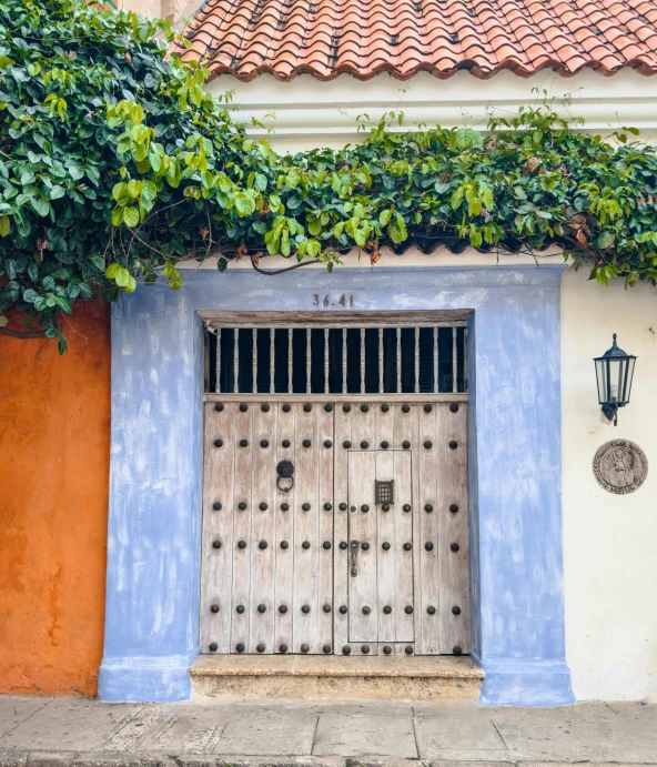 the door to a building is covered by ivy