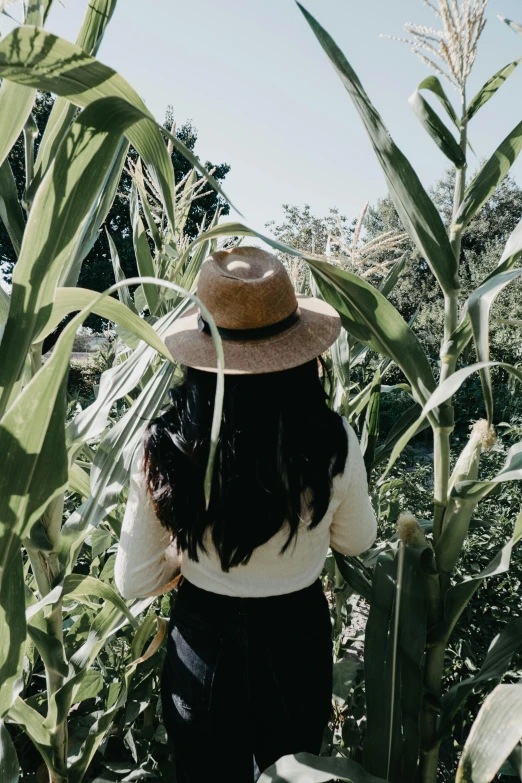 a woman stands among large green leaves of plants