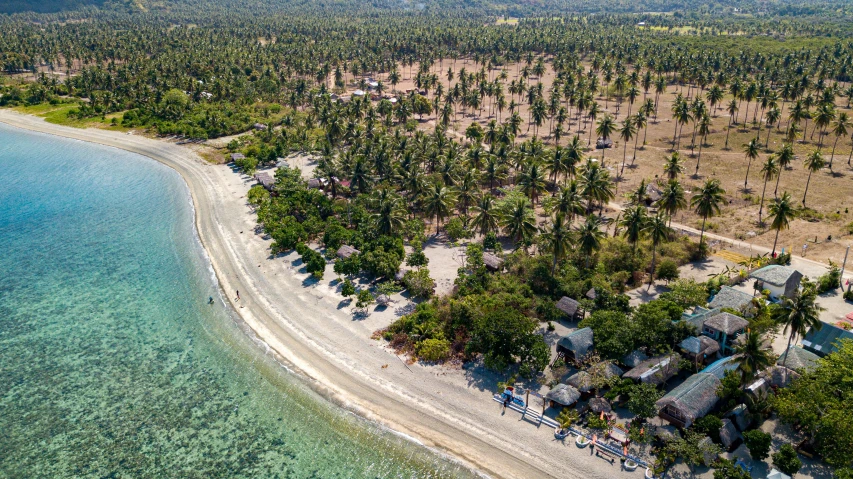 a large area with blue waters, green vegetation and small houses