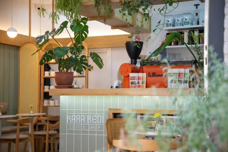 view from the inside of a small resturant, with plants and food