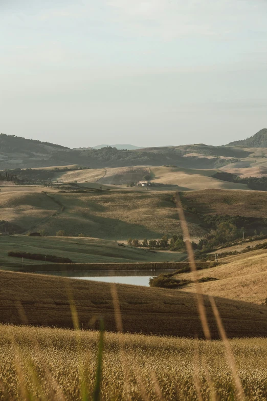 a green mountain range with water in it