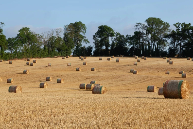 a big field with hay bales in the middle