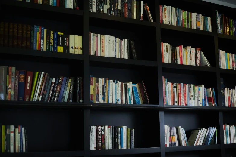 books are on black shelves with different colored pages