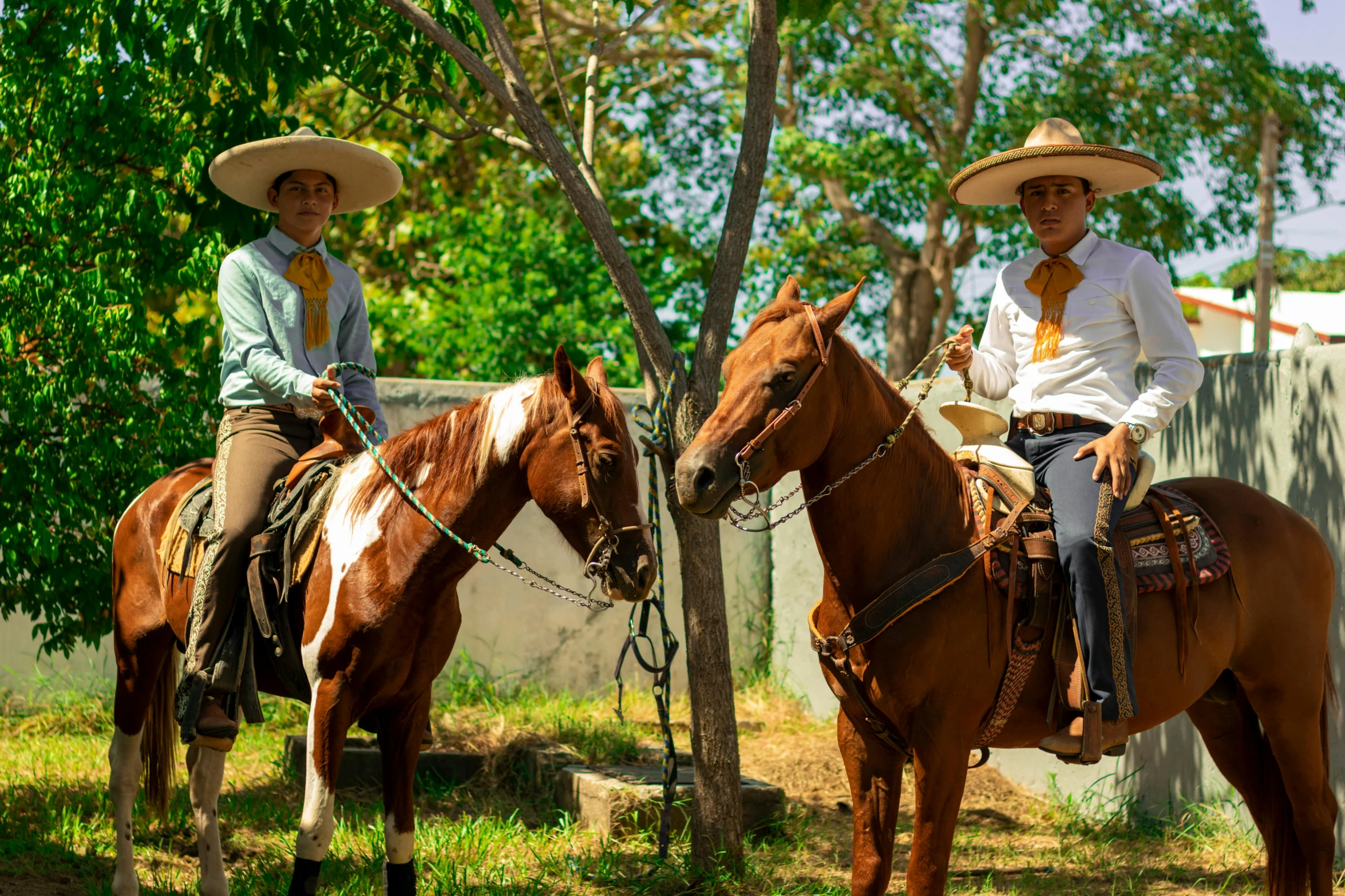 two men in straw hats on their brown horses