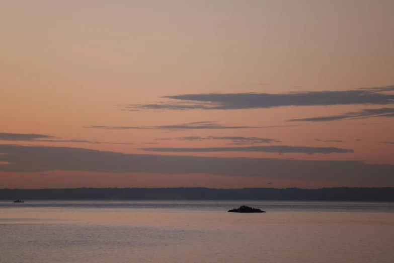 a person is rowing in a boat on the water