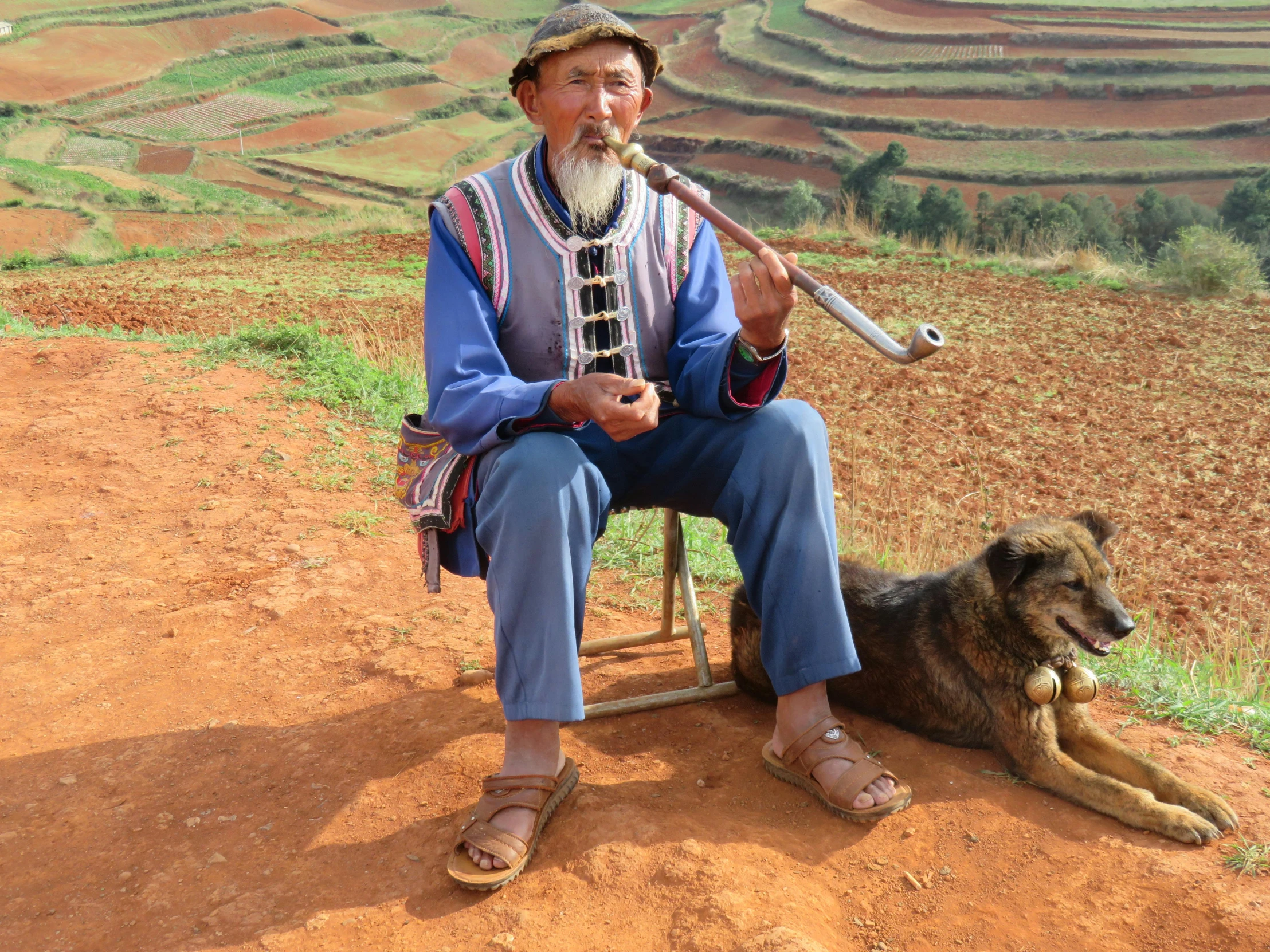 a man playing a musical instrument next to a dog