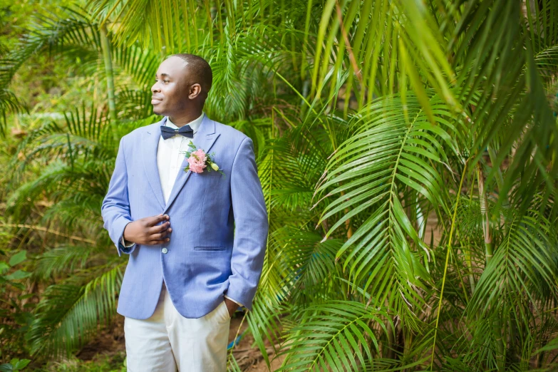 a man dressed in a blue suit and bow tie