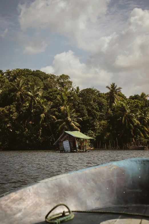 the view from a boat looking at houses on trees