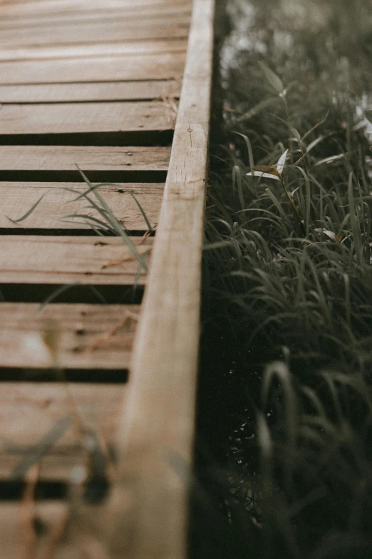 an image of a wood walkway with grass in the background