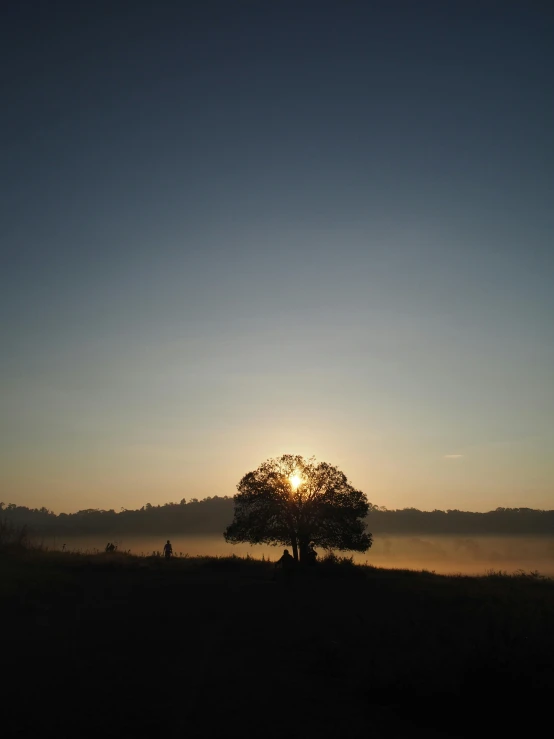 the sun is setting behind a tree in the foggy field