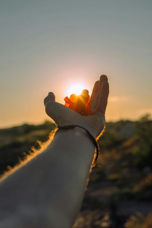 a hand with a light on it reaching out towards the sun