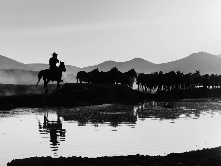 the horses are walking through the water