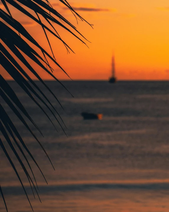 a silhouette view of a beach with a boat in the background