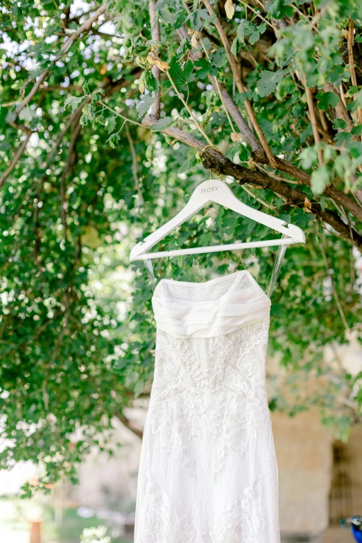 a dress hanging in front of a tree