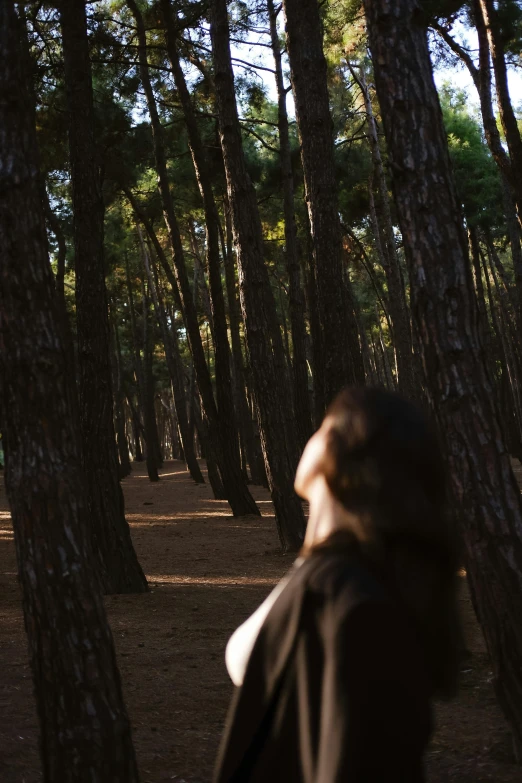 woman walking through a pine forest in the sun