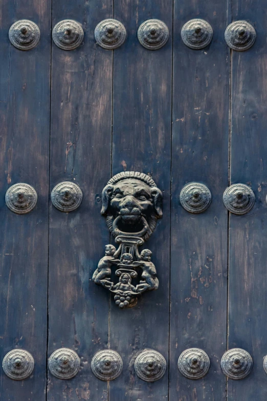 a door has silver circles around it and a wooden face