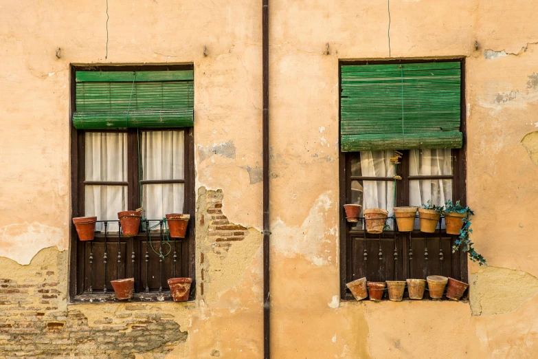 two windows with pots of plants on them