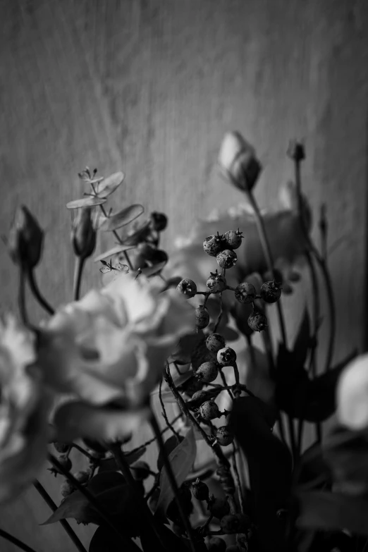 a black and white image of many different types of flowers