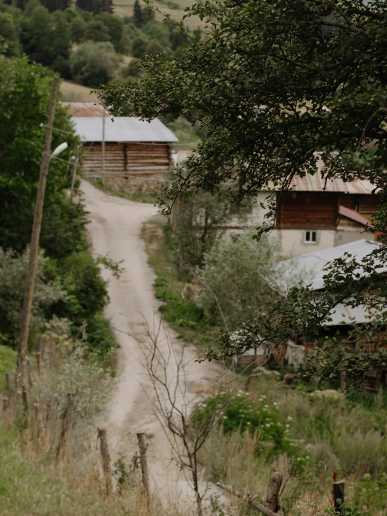 a rural road in a forest with barn buildings