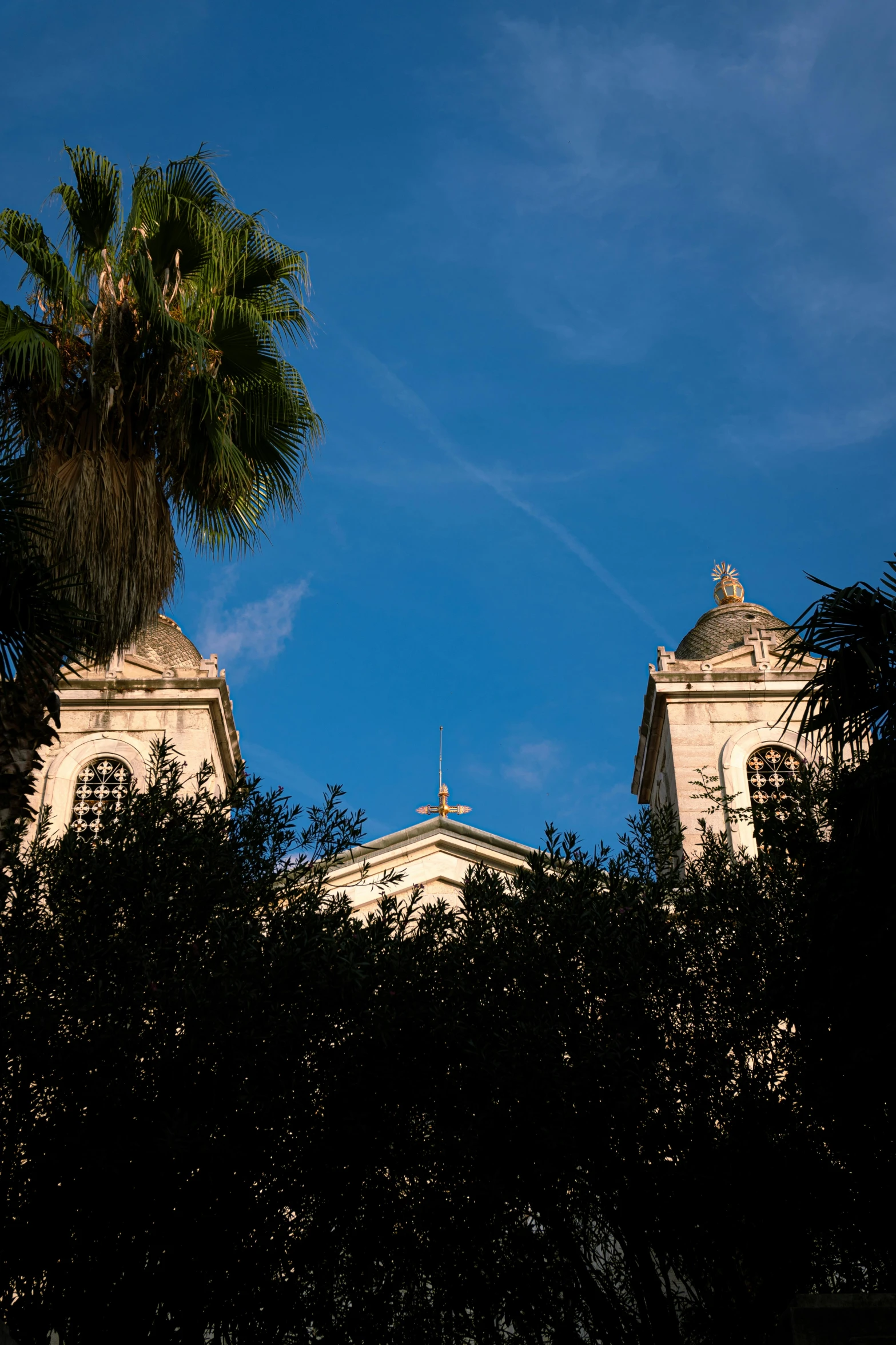 the tree tops of two buildings against the blue sky