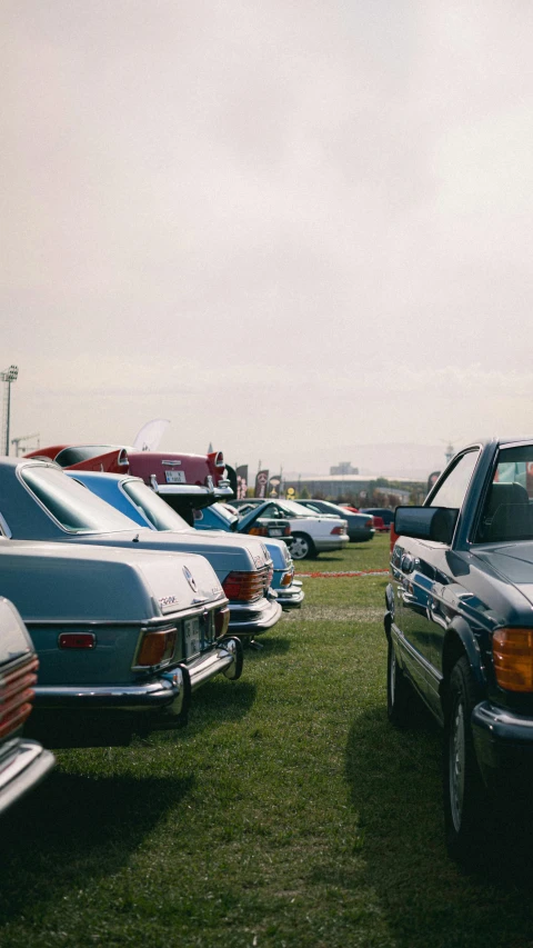 many classic cars are lined up in a field